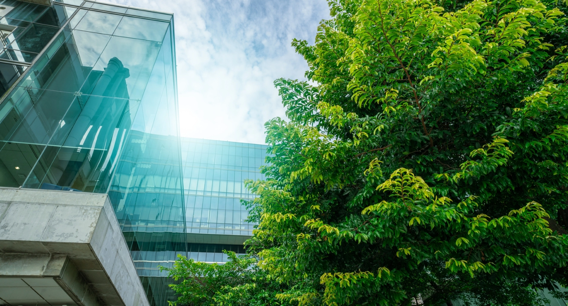 Green building facade